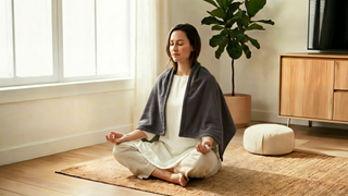 Aegis Apparel Faraday Blanket (45” x 31”) -  EMF Protection Fabric Blocks 99% 5G, WiFi, Bluetooth, Cell Phone Towers | Includes Carrying Bag, Perfect for Travel, Pregnancy, Dark Gray